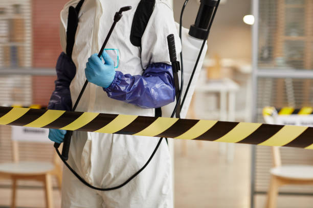 Professional Sewage Cleanup technician working in Barrington, NH